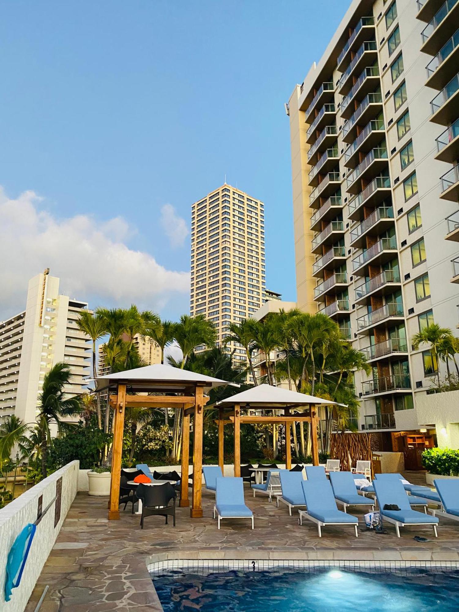 Cozy Studio With Free Parking In Waikiki 檀香山 外观 照片